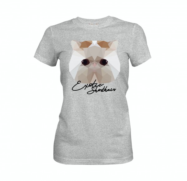 WT_ExoticShorthairAsh