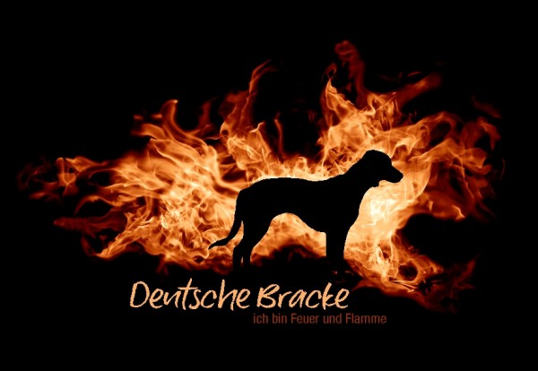 UTFlamme_DeutBrackeMo