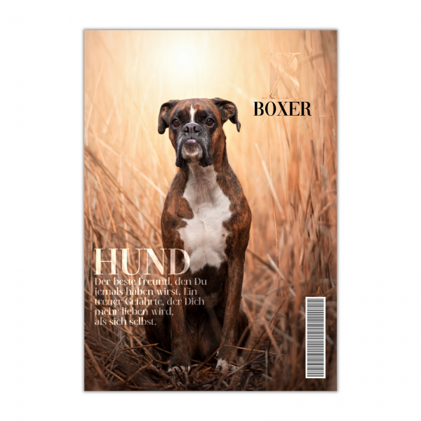 SchildMagazin_Boxer1