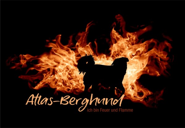 UTFlamme_AtlaBerghMo