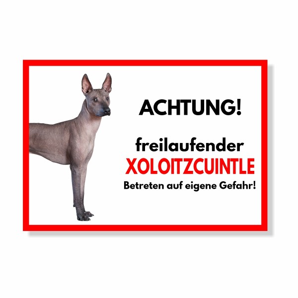 SchildFrei_Xoloitzcuintle