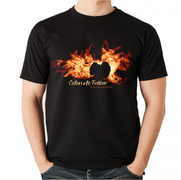 UTFlamme_CotonTulear