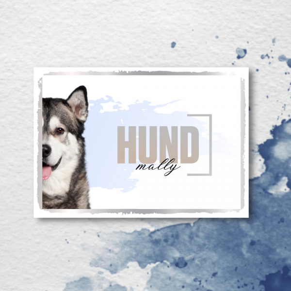 SeeleD_AlaskMalamute3