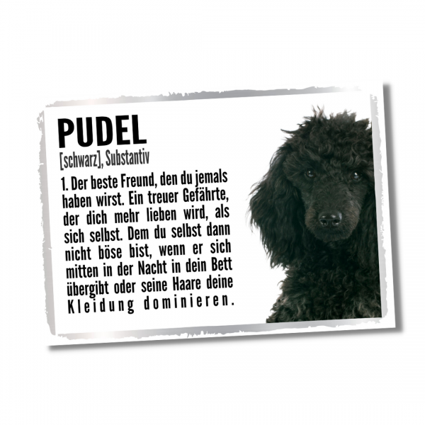 Duden_PudelS1