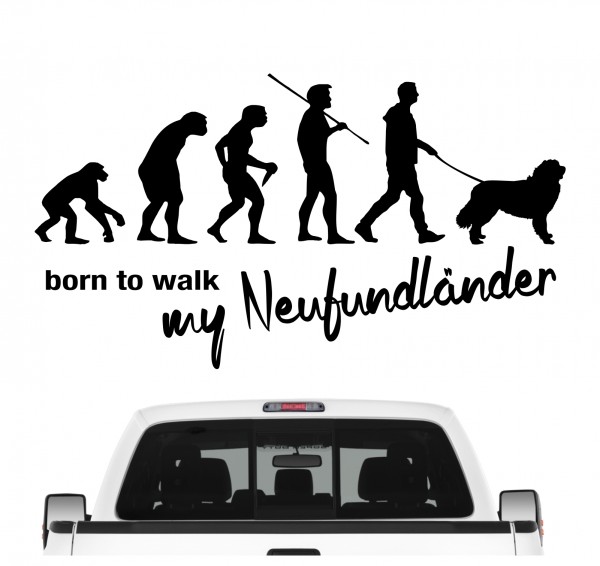 Neufundländer Neufi Newf Newfie The Gentle Giant Evolution Born to Walk Hunde Aufkleber Sticker Autoaufkleber Wandtattoo Tattoo