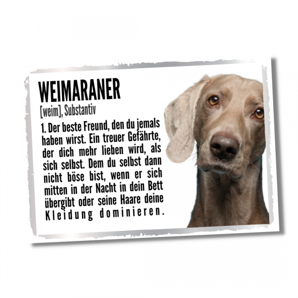 Duden_Weimaraner1