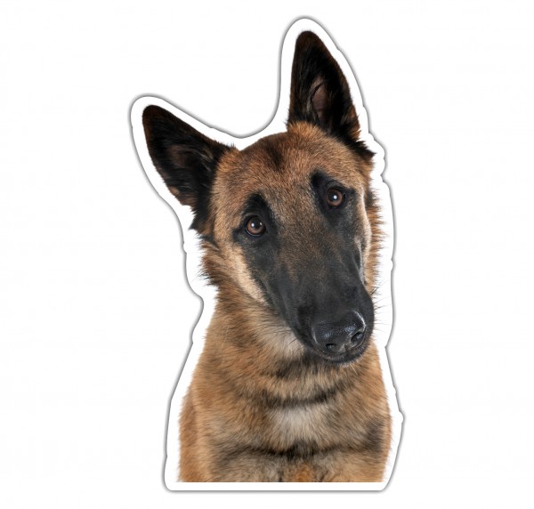 Malinois Belgian Mali Belgischer Schäferhund Berger Belge Dog Pfoten Digitaldruck Motiv by SIVIWONDER