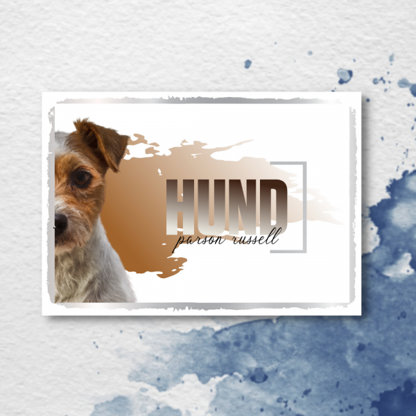 SeeleD_ParsonRussell3