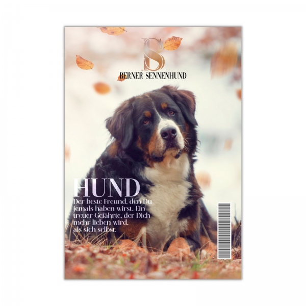 SchildMagazin_BernerSennenhund1