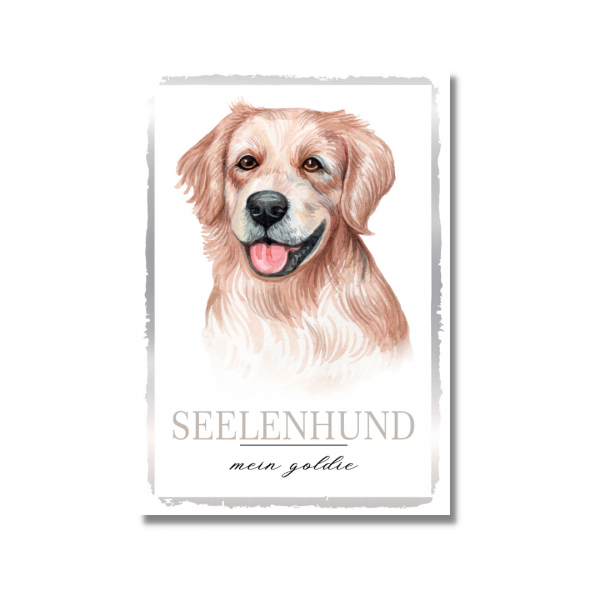 SeeleW_GoldRetriever1