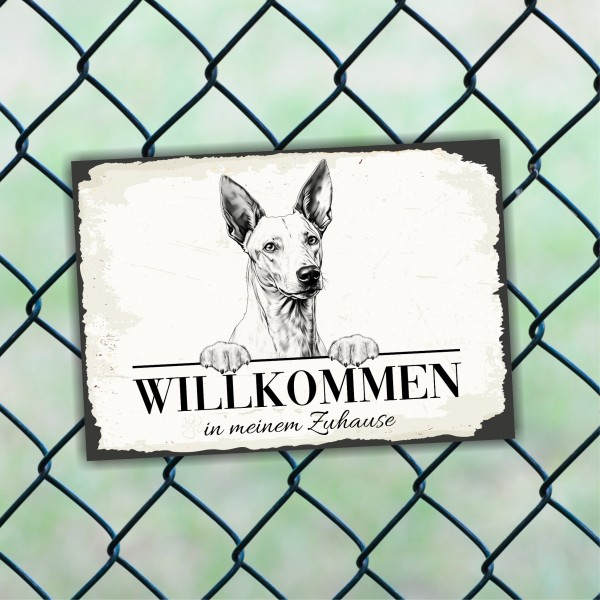 Hundeschild Willkommen Zuhause Podenco Ibicenco Schild Achtung Spruch