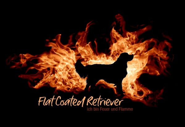 UTFlamme_FlatCoaRetrMo