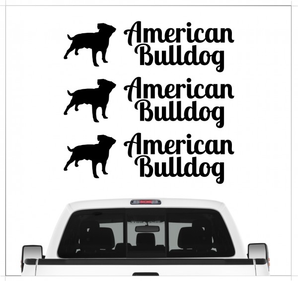 A_3er_AmeriBulldogB