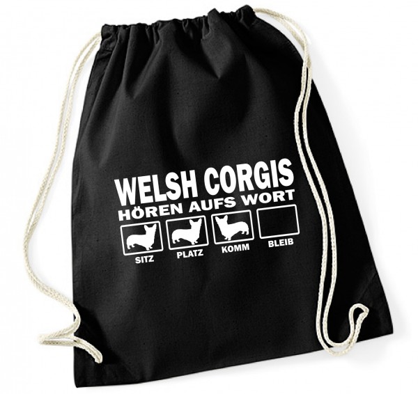 BAGHAWWelshCorgiB