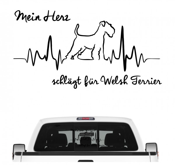 AHeart_WelshTerrierB