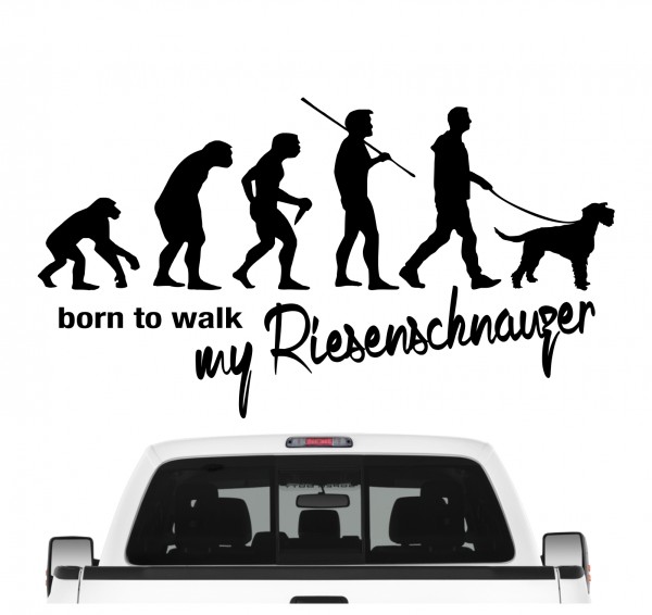 Riesenschnauzer Schnauzer Münchner Russian Bear Riesen Evolution Born to Walk Hunde Aufkleber Sticker Autoaufkleber Wandtattoo Tattoo