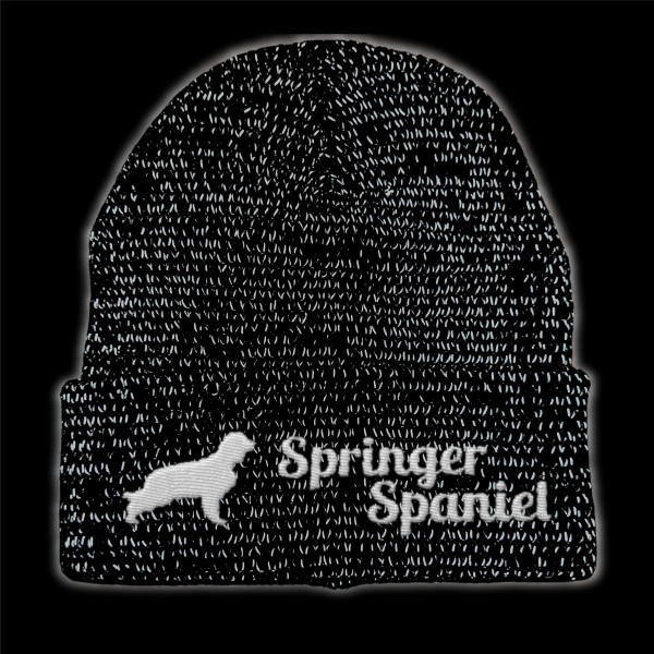 RefBeane_SpringerSpaniel2