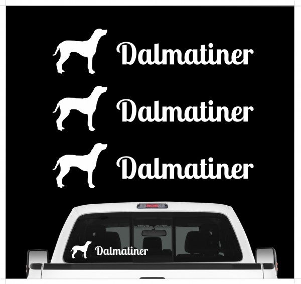 A_3er_DalmatinerW