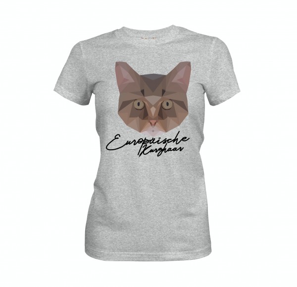 WT_Europ-ischeKurzhaarAsh