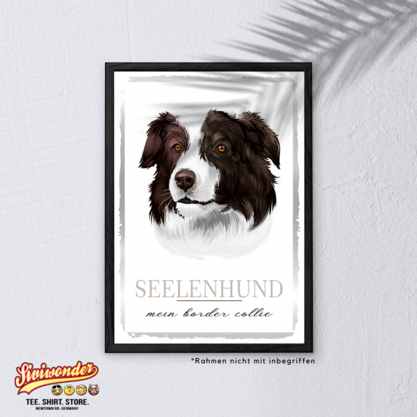 SeeleW_BorderCollie3