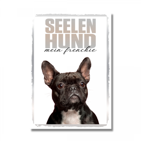 SeeleR_Frenchie1