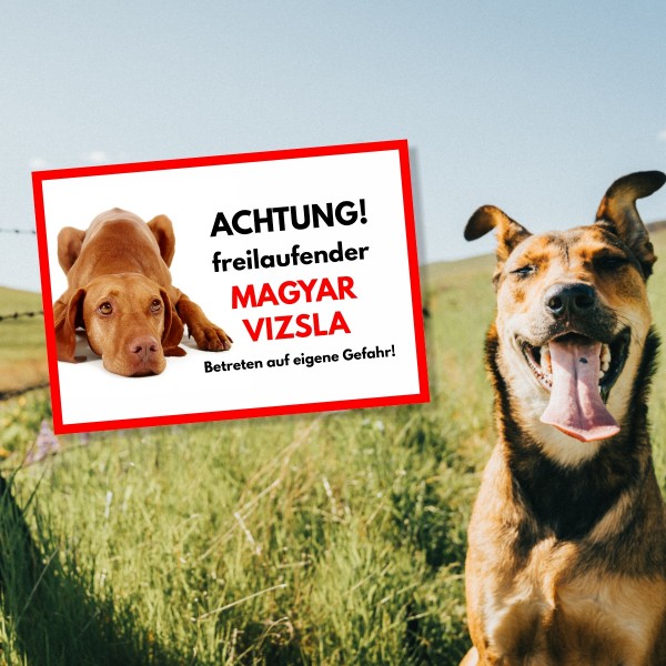 SchildFrei_MagyarVizsla1