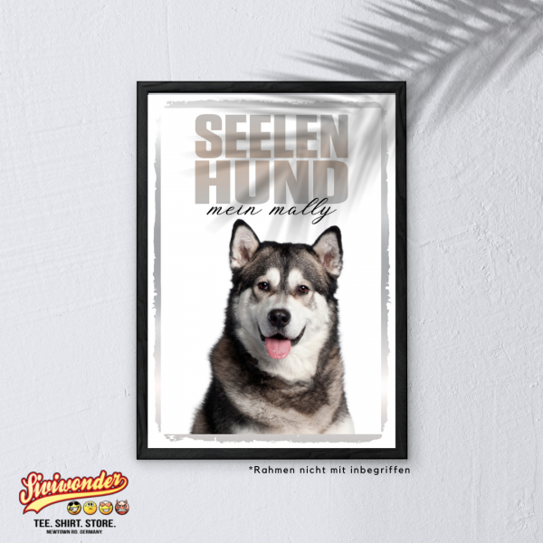 SeeleR_AlaskMalamute3