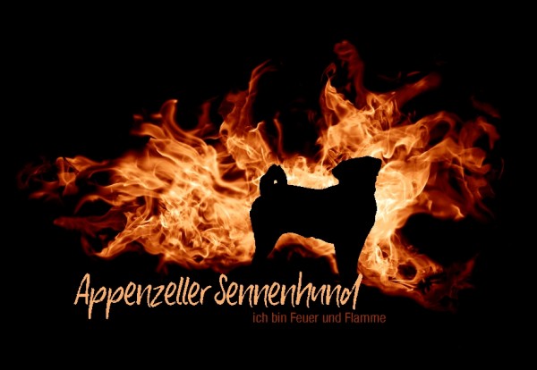 UTFlamme_AppenzSennMo