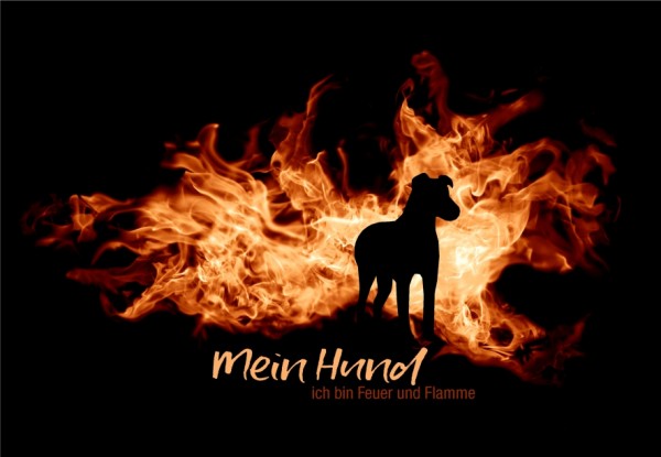 UTFlamme_MeinHundMo