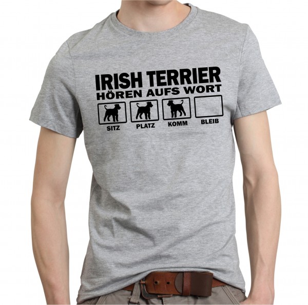 UTHAWIrishTerrierSG