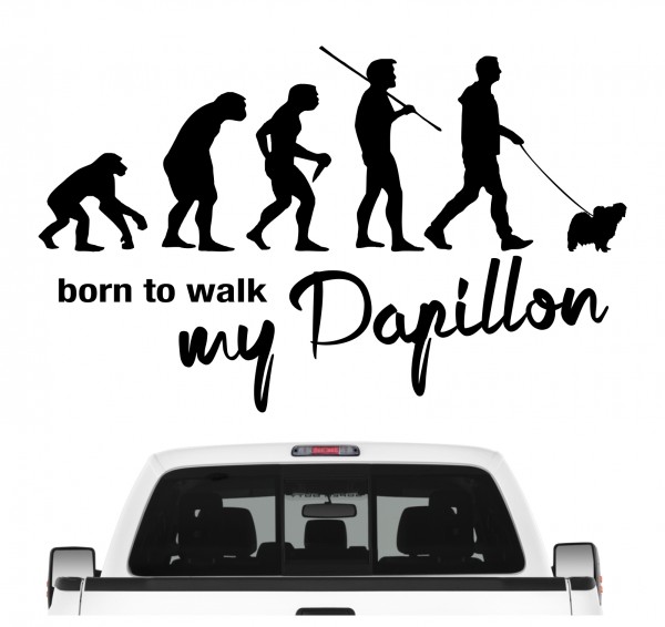 Papillon Zwergspaniel Kontinentaler Phalene Evolution Born to Walk Hunde Aufkleber Sticker Autoaufkleber Wandtattoo Tattoo
