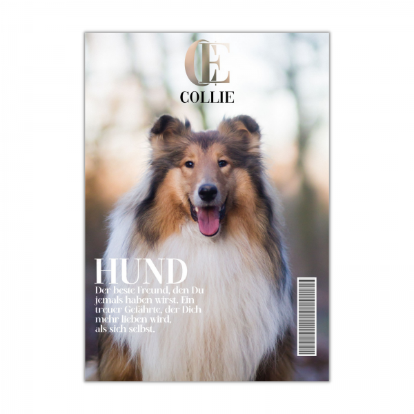 SchildMagazin_Collie1