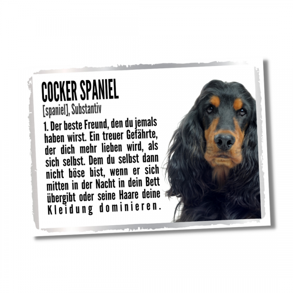 Duden_CockerSpaniel1