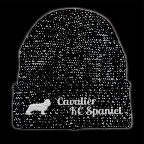 RefBeane_CavalierKCSpaniel2