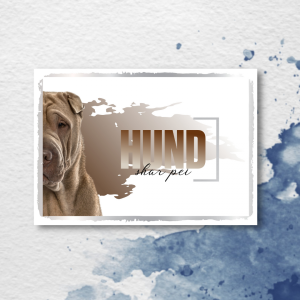 SeeleD_SharPei3