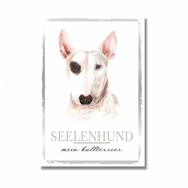SeeleW_Bullterrier1