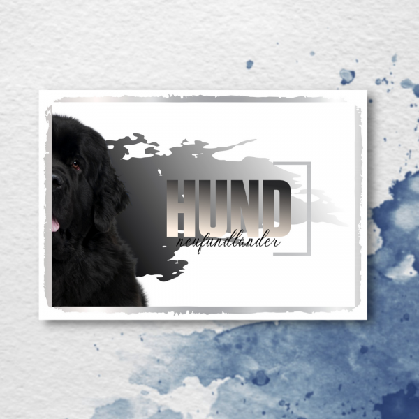 SeeleD_Neufundl-nder3