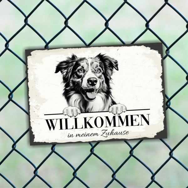 Hundeschild Willkommen Zuhause Mini Australian Shepherd Schild Achtung Spruch