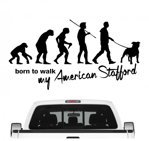 American Staffordshire Terrier USA AmStaff Pit Bull Terrier Evolution Born to Walk Hunde Aufkleber Sticker Autoaufkleber Wandtattoo Tattoo