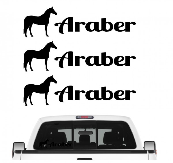 3erPF_AraberB