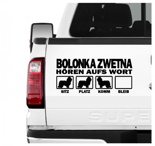 Bolonka Zwetna Tsvetnaya Russischer Hund Dog Hört aufs Wort Hunde Aufkleber Sticker Autoaufkleber