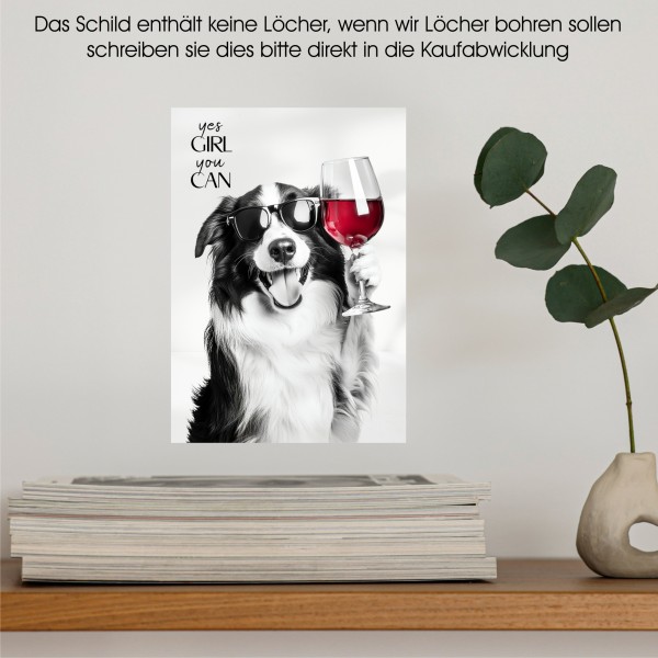 SchildYouCan_BorderCollie5