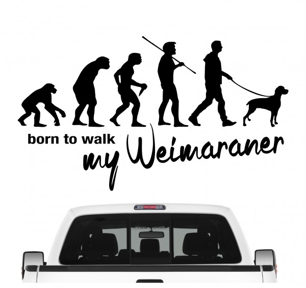 Weimaraner Weim Vorstehhund Grey Ghost Evolution Born to Walk Hunde Aufkleber Sticker Autoaufkleber Wandtattoo Tattoo