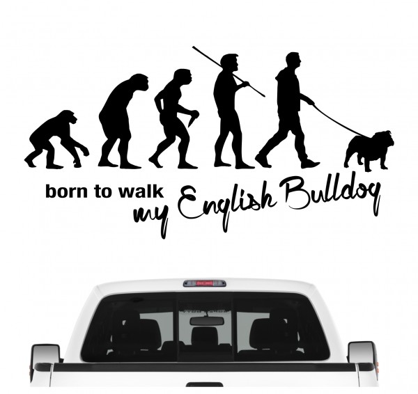 Englische Bulldogge Bully English Bulldog Evolution Born to Walk Hunde Aufkleber Sticker Autoaufkleber Wandtattoo Tattoo