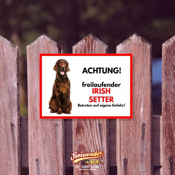 SchildFrei_IrishSetter2