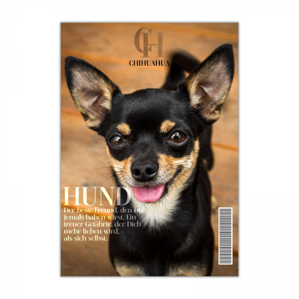 SchildMagazin_Chihuahua1
