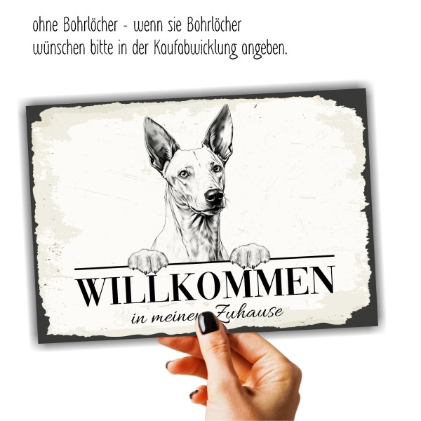 Hundeschild Willkommen Zuhause Podenco Ibicenco Schild Achtung Spruch