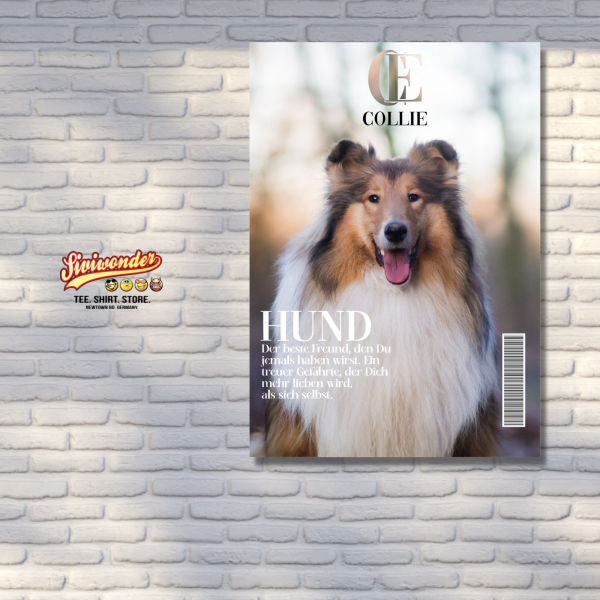 SchildMagazin_Collie3