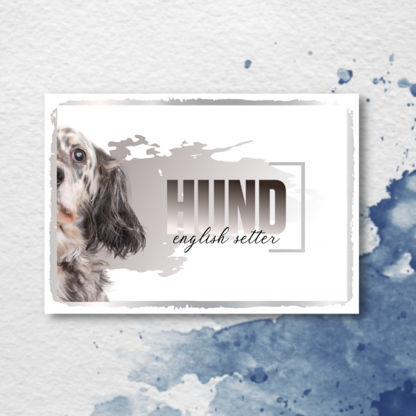 SeeleD_EnglishSetter3