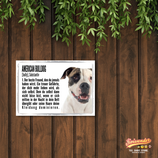 Duden_AmerBulldog2